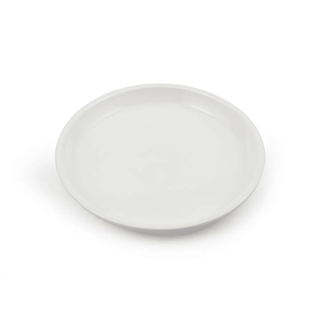 Ivory Porcelain Round Flat Plate 9"