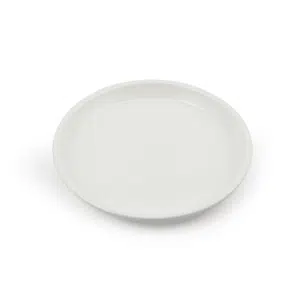 Ivory Porcelain Round Flat Plate 9"