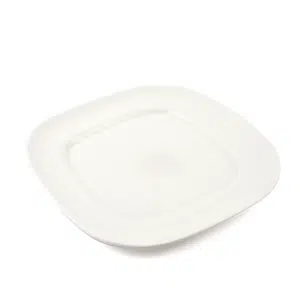 Ivory Porcelain Square Round Plate
