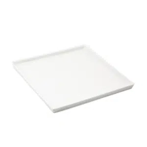 Ivory Porcelain Plate