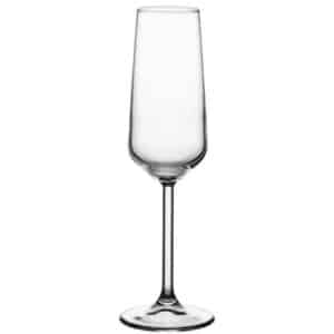 ALLEGRA STEAMWARE 195CC