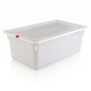 CONTAINER PLASTIC